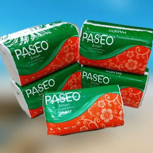 TISSUE KOTAK PASEO 250 SHEET